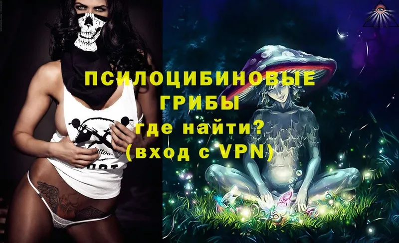 Псилоцибиновые грибы Cubensis  blacksprut ССЫЛКА  Ирбит 